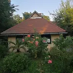Zold Oliva Apartman * Bardudvarnok