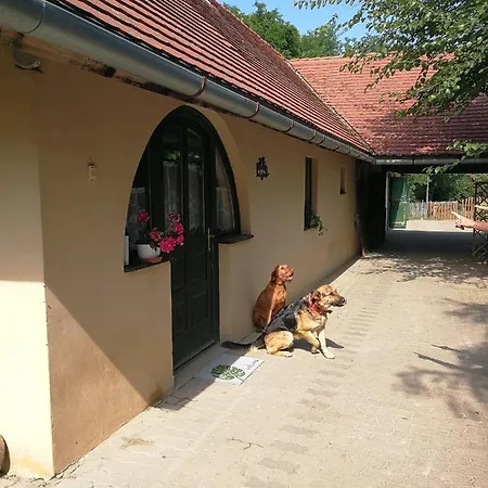 Daire Zöld Oliva Apartman Bárdudvarnok